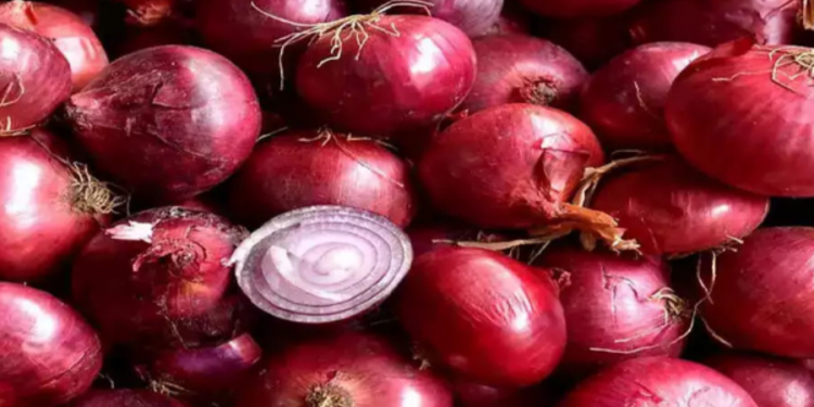 வெங்காய விலையில் வீழ்ச்சி!