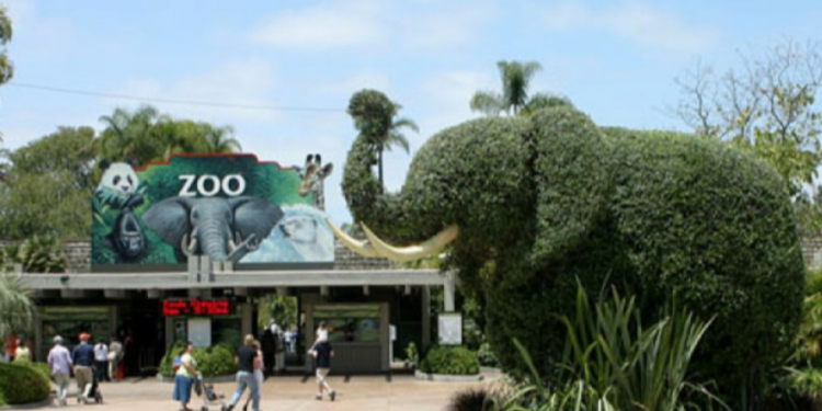 இலங்கையில் மிருகங்களுடன் புகைப்படம் எடுக்க அறிமுகமாகும் புதிய நடைமுறை!