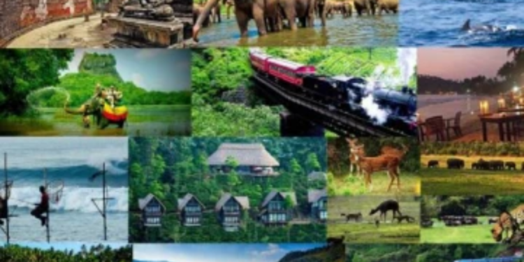 இலங்கை துறைமுகத்தின் மூலம் கொட்டும் டொலர்கள்