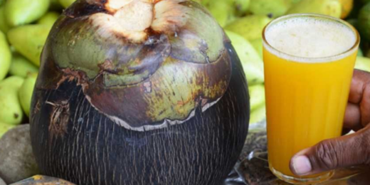 பனைசார்ந்த ஏற்றுமதியால் இலங்கைக்கு கிடைக்கும் டொலர்கள்