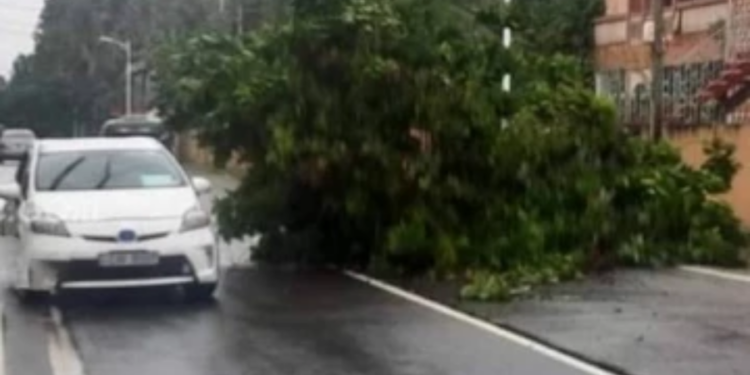 யாழ் மாவட்ட மக்களுக்கு இலங்கை மின்சாரசபை விடுத்துள்ள முக்கிய அறிவித்தல்!