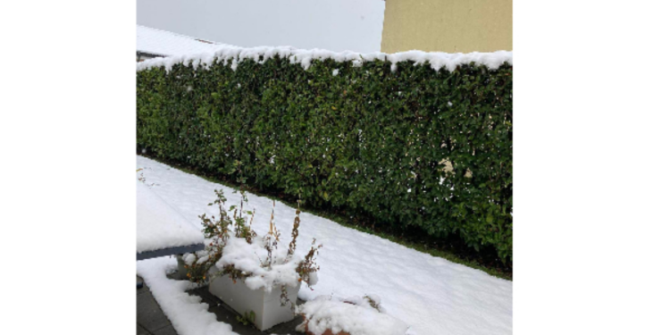 சுவிட்சர்லாந்தில் பெரும் பனி பொழிவு