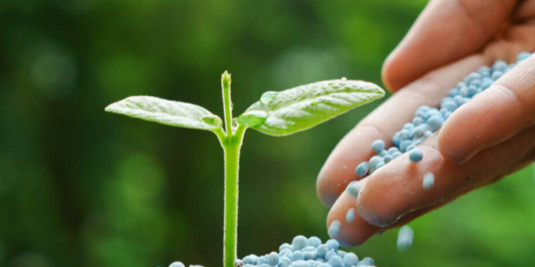 விவசாய அமைச்சுக்கு சொந்தமான 8 நிறுவனங்கள் தொடர்பில் எடுக்கப்படவுள்ள முக்கிய தீமானம்!