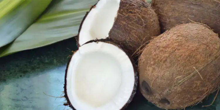 இலங்கையின் சராசரி தேங்காய் விலை 9.2 சதவீதம் அதிகரிப்பு!