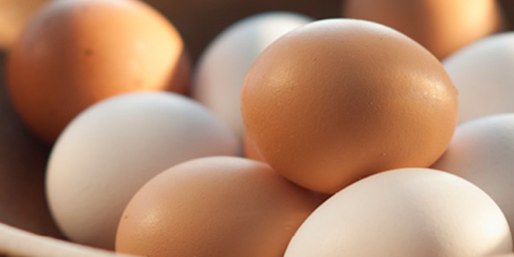 முட்டையின் விலை தொடர்பில் நீதிமன்றம் பிறப்பித்துள்ள உத்தரவு!