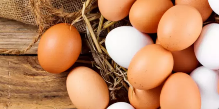 நாட்டில் முட்டை விலை குறைப்பு தொடர்பில் வெளியாகியுள்ள செய்தி!