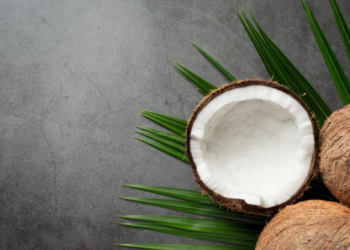 நாட்டில் தேங்காய் விலை அதிகரிக்கும் வாய்ப்பு!