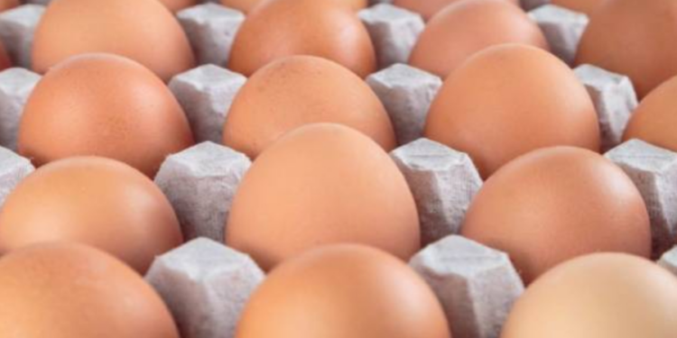 பண்டிகை காலத்தில் முட்டை விலை மேலும் அதிகரிக்கும் வாய்ப்பு!