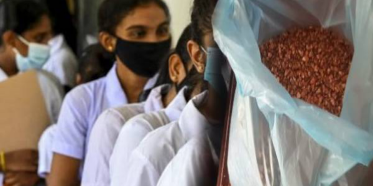 யாழில் பாடசாலை மாணவர்களுக்கு விற்க தயாராக இருந்த ஒரு தொகை மாவா பாக்கு மீட்பு!