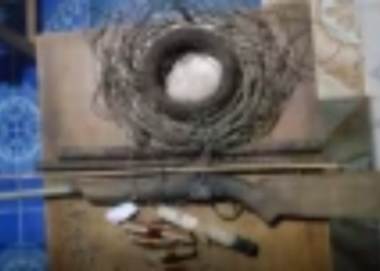 கிளிநொச்சி வன ஜீவராசிகள் திணைக்களத்தினால் சட்டவிரோதமாக பதுக்கி வைக்கபட்டிருந்த ஆயுதங்கள் மீட்க்கப்பட்டுள்ளன!