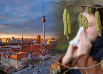 ஜெர்மனி மக்களுக்கான விசேட அறிவித்தல்!