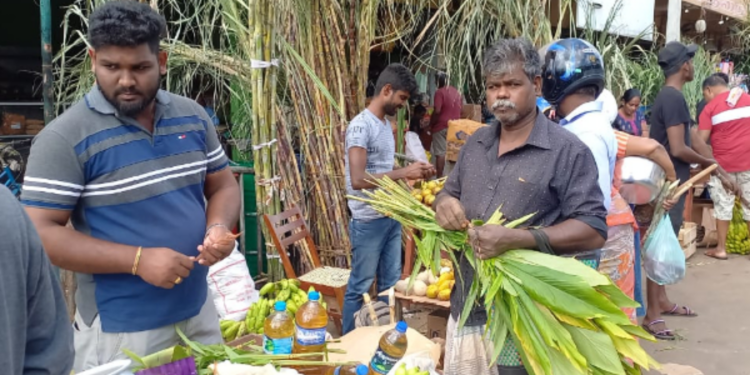 யாழில் களைகட்டும் பொங்கல் வியாபாரம்