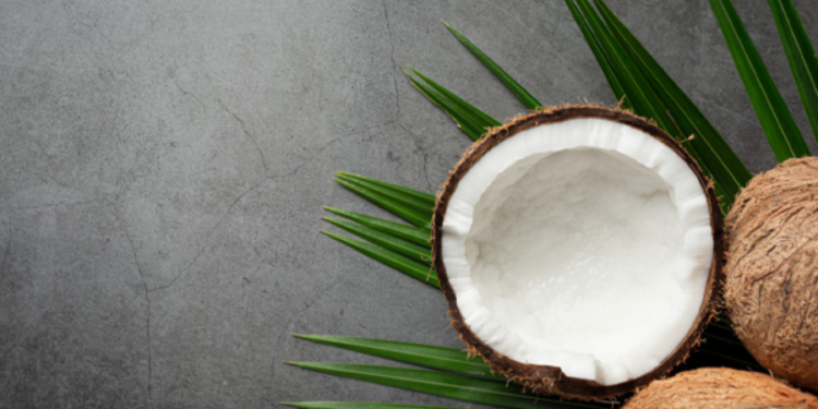 தேங்காய் விலை அதிகரிப்பு!