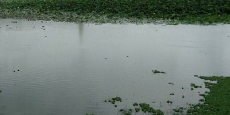 யாழில் குளத்தில் இருந்து பெண் ஒருவரின் சடலம் மீட்பு!