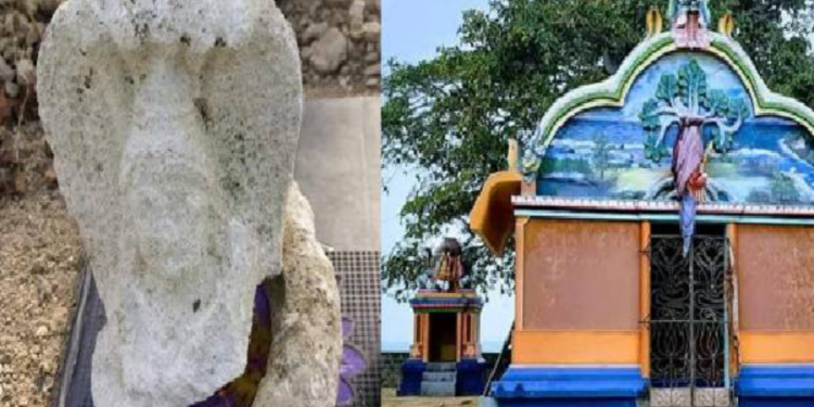 யாழ் நைனாதீவில் தோன்றிய அதிசயம் பார்ப்பதற்கு படையெடுக்கும் மக்கள்