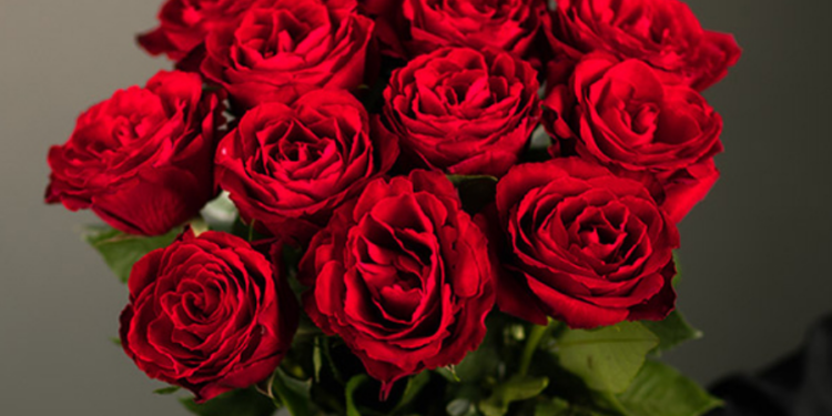 சந்தையில் சிவப்பு ரோஜாவின் விலை வெகுவாக அதிகரிப்பு!