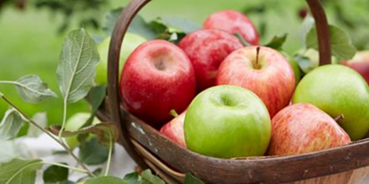 பழங்களின் விலையில் ஏற்பட்டுள்ள மாற்றம்