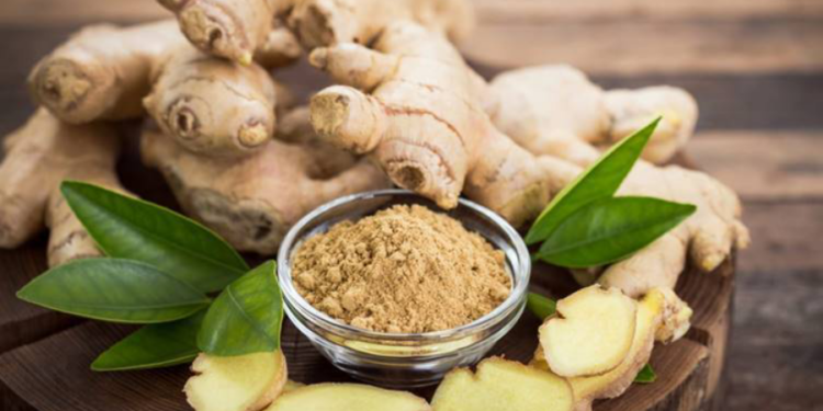 இஞ்சியின் மருத்துவ குணங்கள்