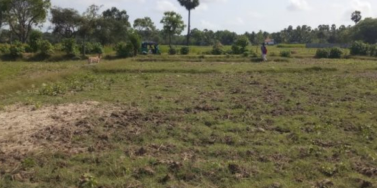 யாழை சேர்ந்த கனடாவில் வசிக்கும் பெண்ணின் நெகிழ்ச்சியான செயல்