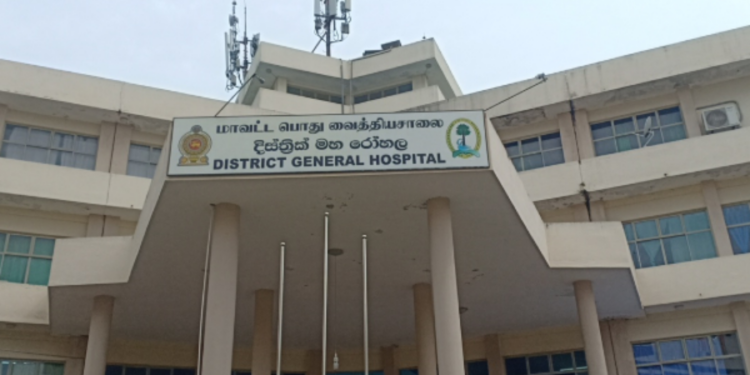 வவுனியாவில் குழவிக் கொட்டுக்கு இலக்கான மாணவர்கள் உட்பட ஜவர் வைத்தியசாலையில் அனுமதி