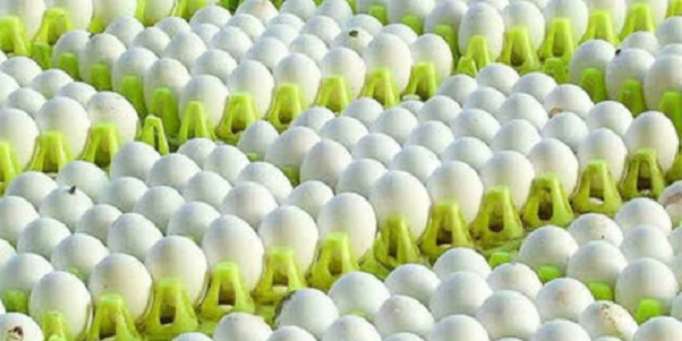 முட்டைக்கான நிர்ணய விலை வெளியானது