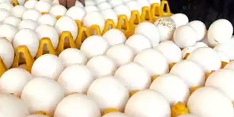 நாட்டை நோக்கி வரும் முட்டை கப்பல் ஒன்று