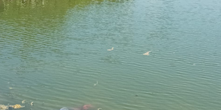 ஊர்காவற்துறை பொலிஸ் பிரிவிற்குட்பட்ட சிவன் கோவிலுக்கு அருகாமையில் உள்ள குளம் ஒன்றில் இருந்து ஆண் ஒருவரின் சடலம் மீட்பு!