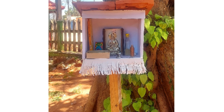 யாழில் திடீரென முளைத்த புத்தர் சிலை