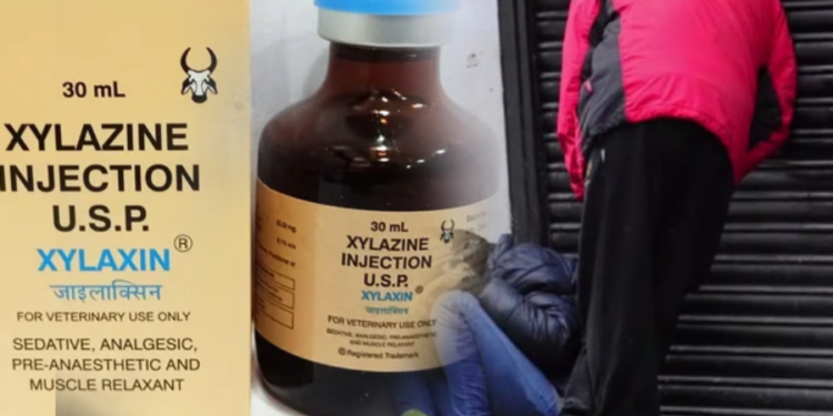 அமெரிக்காவில் ஜாம்பிக்கள் போல் அலையும் மக்கள்