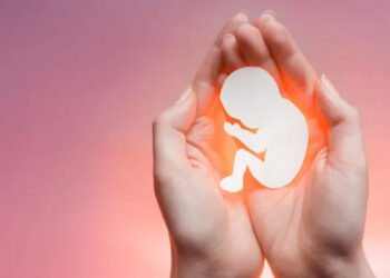 நேற்றைய தினம் யாழ்ப்பாணம் போதனா வைத்தியசாலையில் வீசப்பட்ட கரு தொடர்பில் வெளியாகியுள்ள செய்தி!