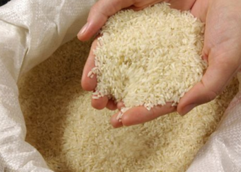 நாட்டின் அரிசி விலைகளில் மாற்றம் ஏற்ப்படும் வாய்ப்பு!