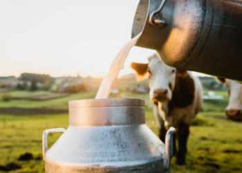 கிளிநொச்சி மாவட்ட மக்களுக்கு விடுக்கப்பட்டுள்ள எச்சரிக்கை!