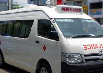 யாழ் வரணியில் மாட்டுடன் விபத்திற்குள்ளன அம்பியூலன்ஸ் வண்டி