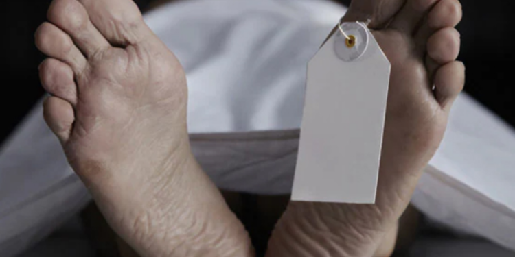 யானை தாக்கியதில் நபர் ஒருவர் உயிரிழப்பு