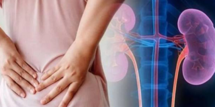இலங்கையில் சிறுநீரக நோயாளர்களின் எண்ணிக்கை அதிகரிப்பு!