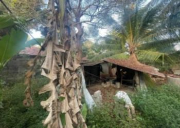 யாழில் கடந்த ஜந்து நாட்களாக மாயமான நபர் சடலமாக மீட்பு!