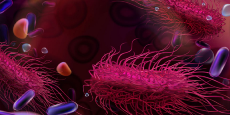 லிஸ்டீரியா நோய் குறித்து விடுக்கப்பட்டுள்ள எச்சரிக்கை!