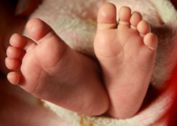 யாழ் போதனா வைத்தியசாலையில் மேல்மாடியில் இருந்து வீசப்பட்ட சிசு