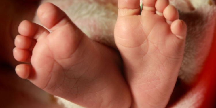 யாழ் போதனா வைத்தியசாலையில் மேல்மாடியில் இருந்து வீசப்பட்ட சிசு