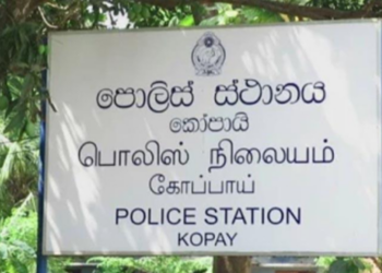 யாழில் சகோதரியின் நகையை திருடிய நபர் கைது!