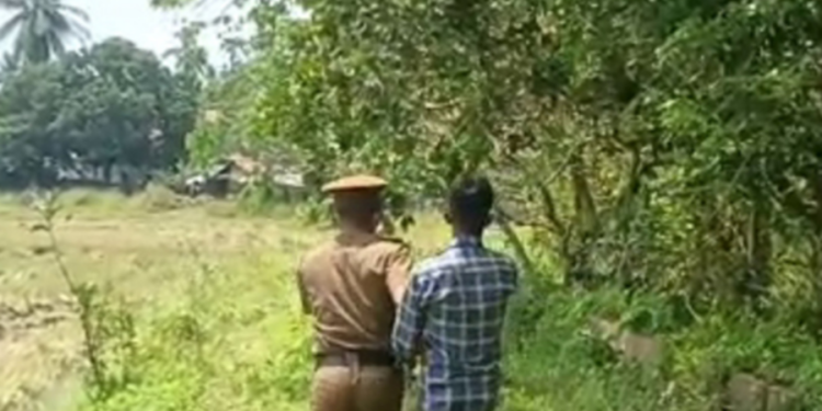 வவுனியாவில் தப்பி ஒட்டிய சிறைக்கைதி மடக்கி பிடிப்பு!