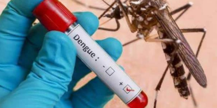 இலங்கையில் டெங்கு நோயாளர்களின் எண்ணிக்கை அதிகரிப்பு!