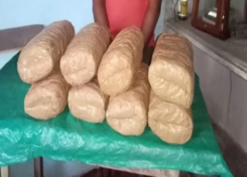 யாழில் கஞ்சாவுடன் இளைஞன் ஒருவர் கைது!