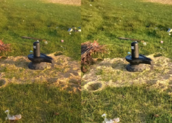 யாழ் குடத்தனை பகுதியில் திடீரென தோன்றிய சிவலிங்கம்