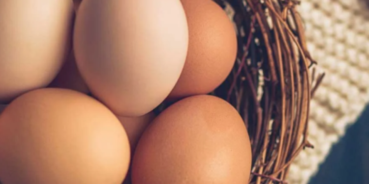 இந்தியாவிலிருந்து மேலும் இரண்டு மில்லியன் முட்டைகள் இறக்குமதி!