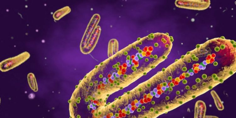 கொடிய வைரஸ் குறித்து அமெரிக்கா விடுத்துள்ள எச்சரிக்கை!