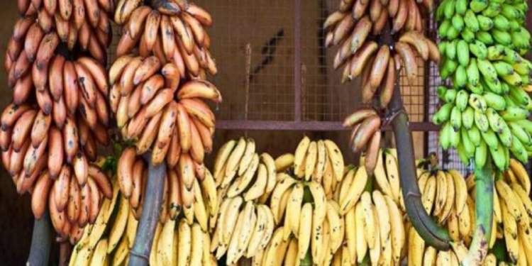 வாழைப்பழங்களின் விலையில் ஏற்ப்பட்டுள்ள மாற்றம்!