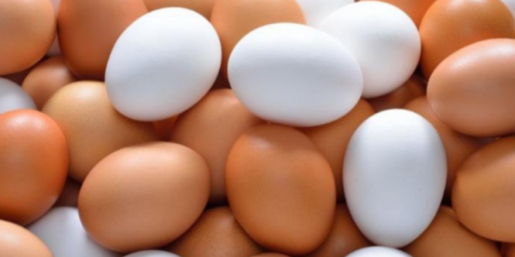 முட்டை விலையில் ஏற்ப்பட இருக்கும் மாற்றம்!