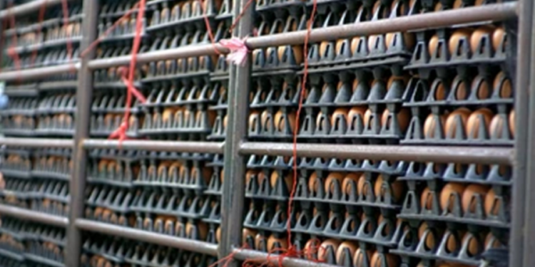 கோழி முட்டைகளை ஏற்றிச் சென்ற லொறி விபத்திற்குள்ளானது