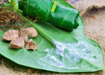 யாழ் மக்களை நெருங்கும் ஆபத்து!